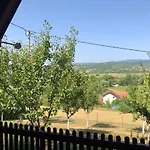 Nemo * Bihać