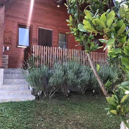 Ferienhaus Nemo *