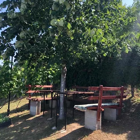 Nemo Semesterbostad *