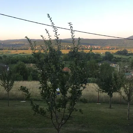 Nemo * Bihać