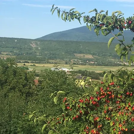 Nemo בית נופש Bihać
