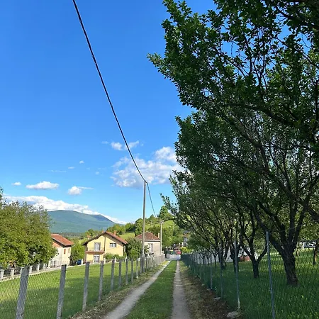 Tatil Evi Nemo