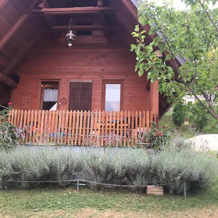 Ferienhaus Nemo