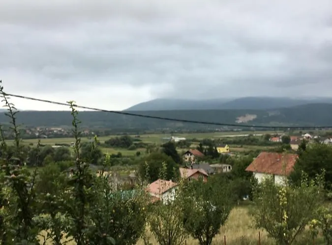 Nemo Semesterbostad *