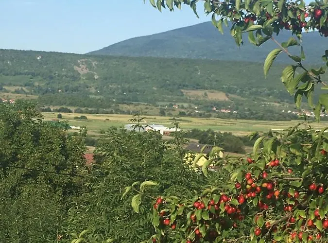 Nemo Semesterbostad Bihać